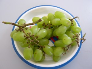 Green grapes on car themed plate, top down