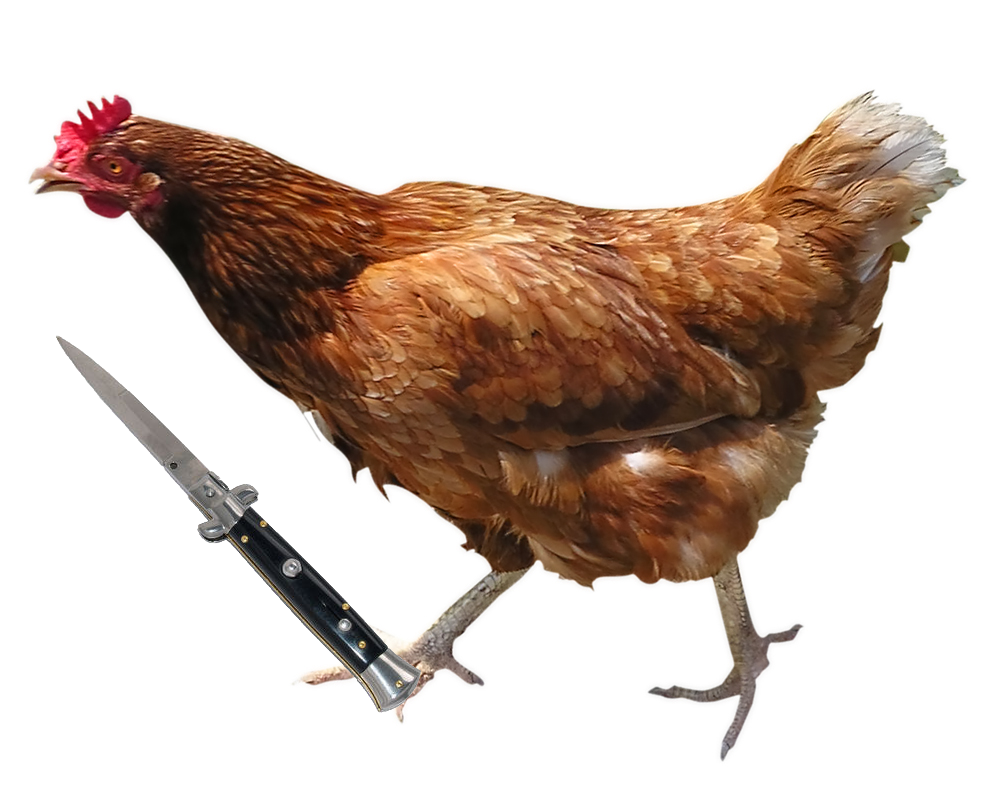 Chicken Shiv’s Man Over Gambling Debt!