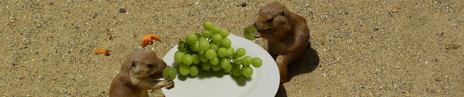 A Plate Of Grapes